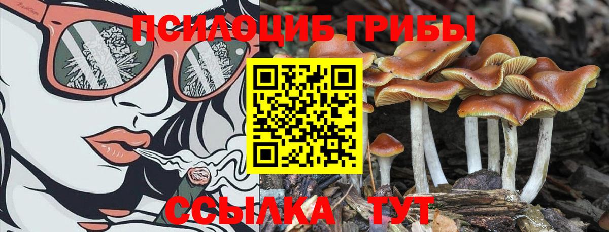 Галлюциногенные грибы мухоморы Ефремов