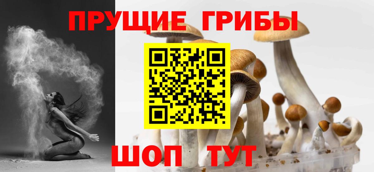 Ефремов  Галлюциногенные грибы Psilocybine cubensis  Вход с VPN  Галлюциногенные грибы GOLDEN TEACHER 